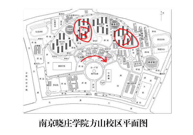 南京晓庄学院平面图图片