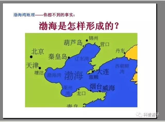 海洋科考924档期探秘渤海湾成为海洋生物小达人