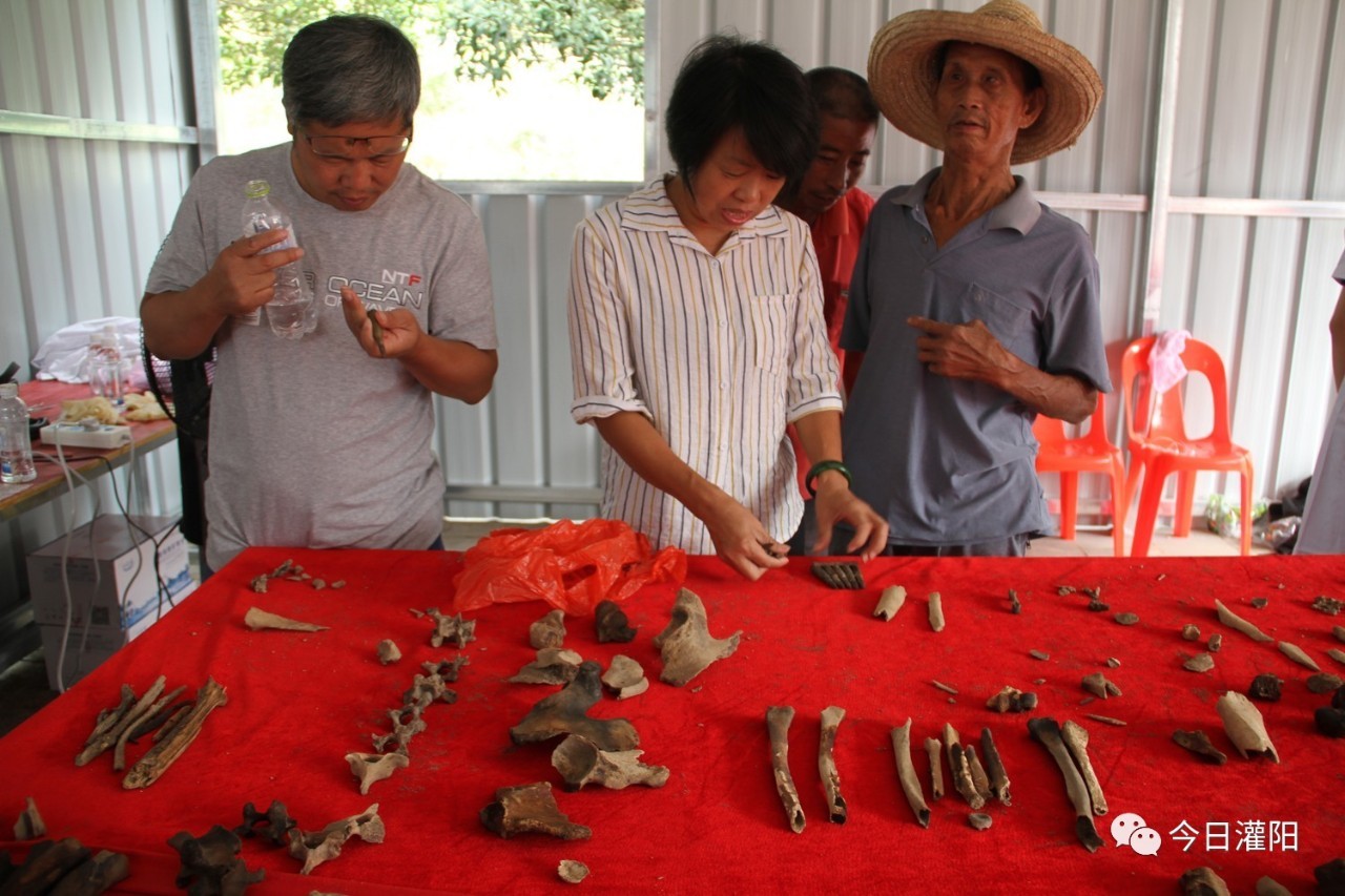 李法軍和廣西文物保護與考古研究所研究員李珍仔細分析遺骸的有關成分