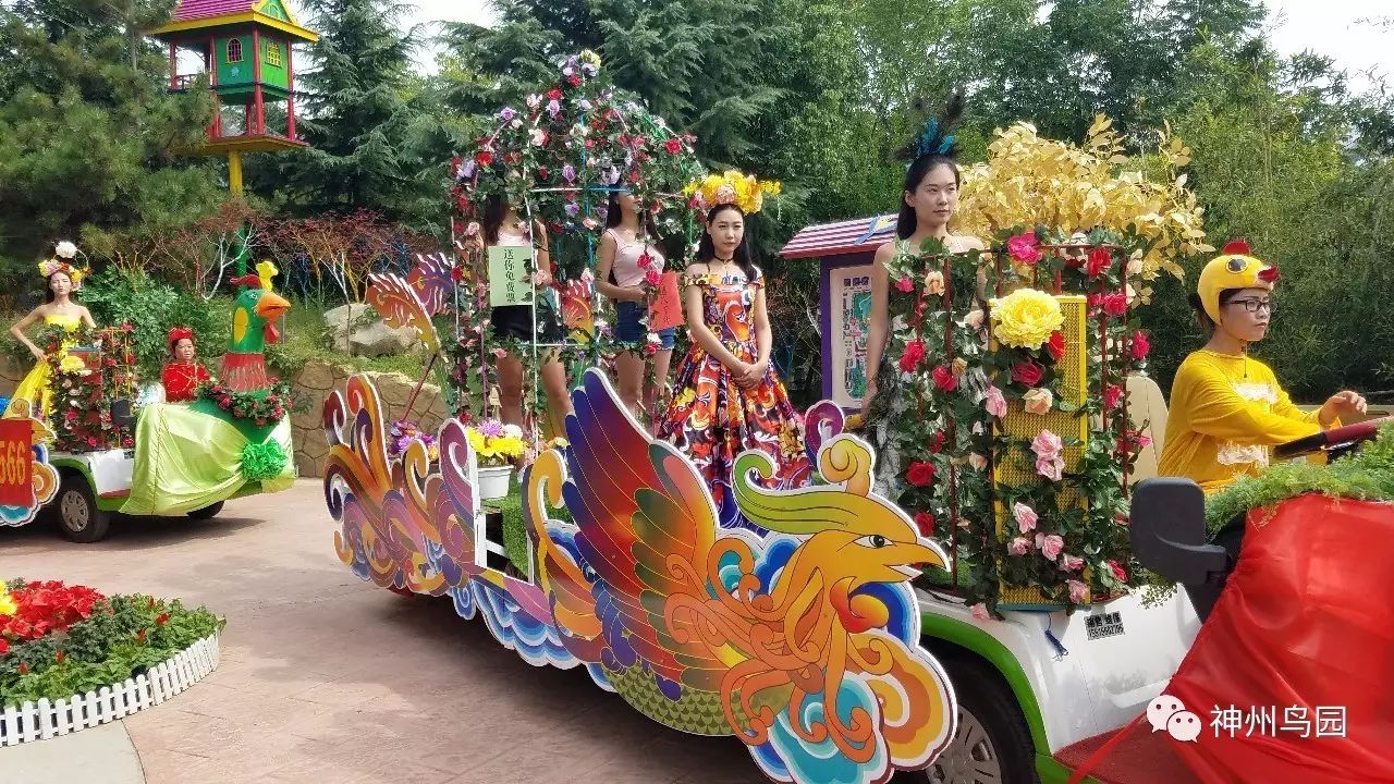 头条a4腰花仙子闪耀漯河开源河上街第二届花鸟节9月16日盛大开幕