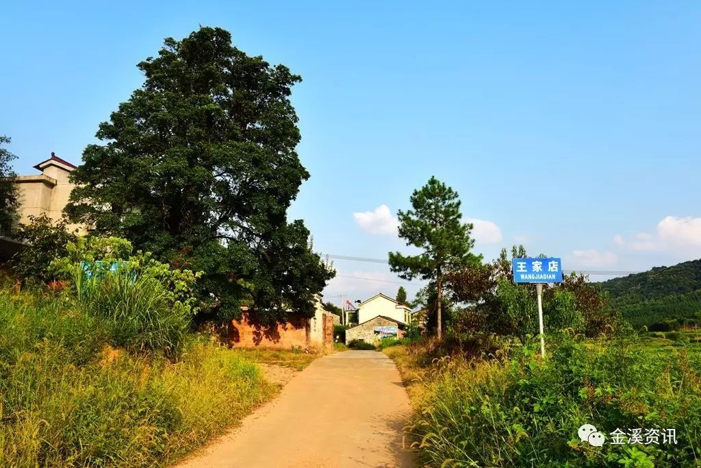 美丽乡村之陆坊乡王家店村