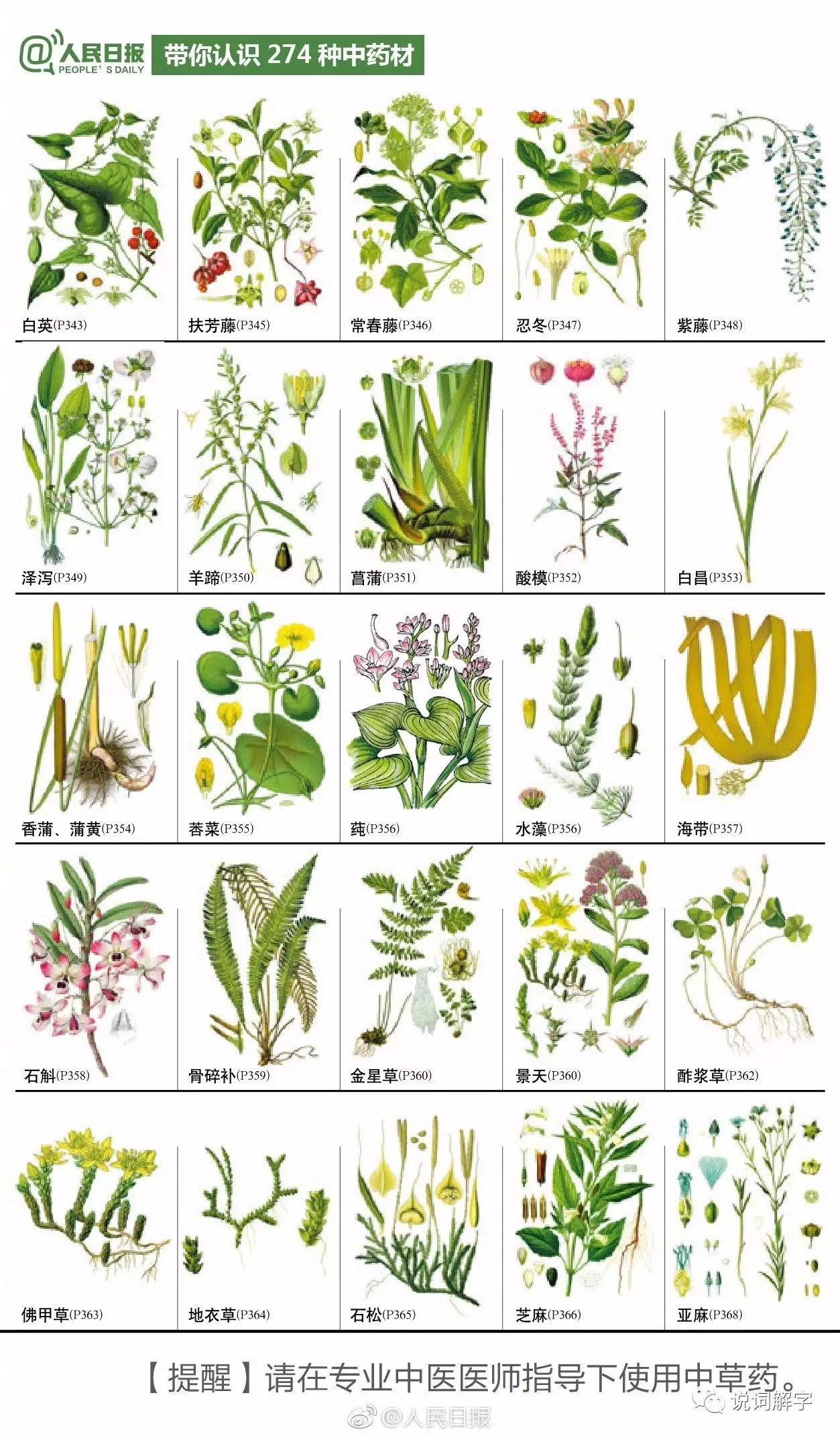 认识中草药图片及名称图片