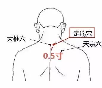 董氏定喘的准确位置图图片