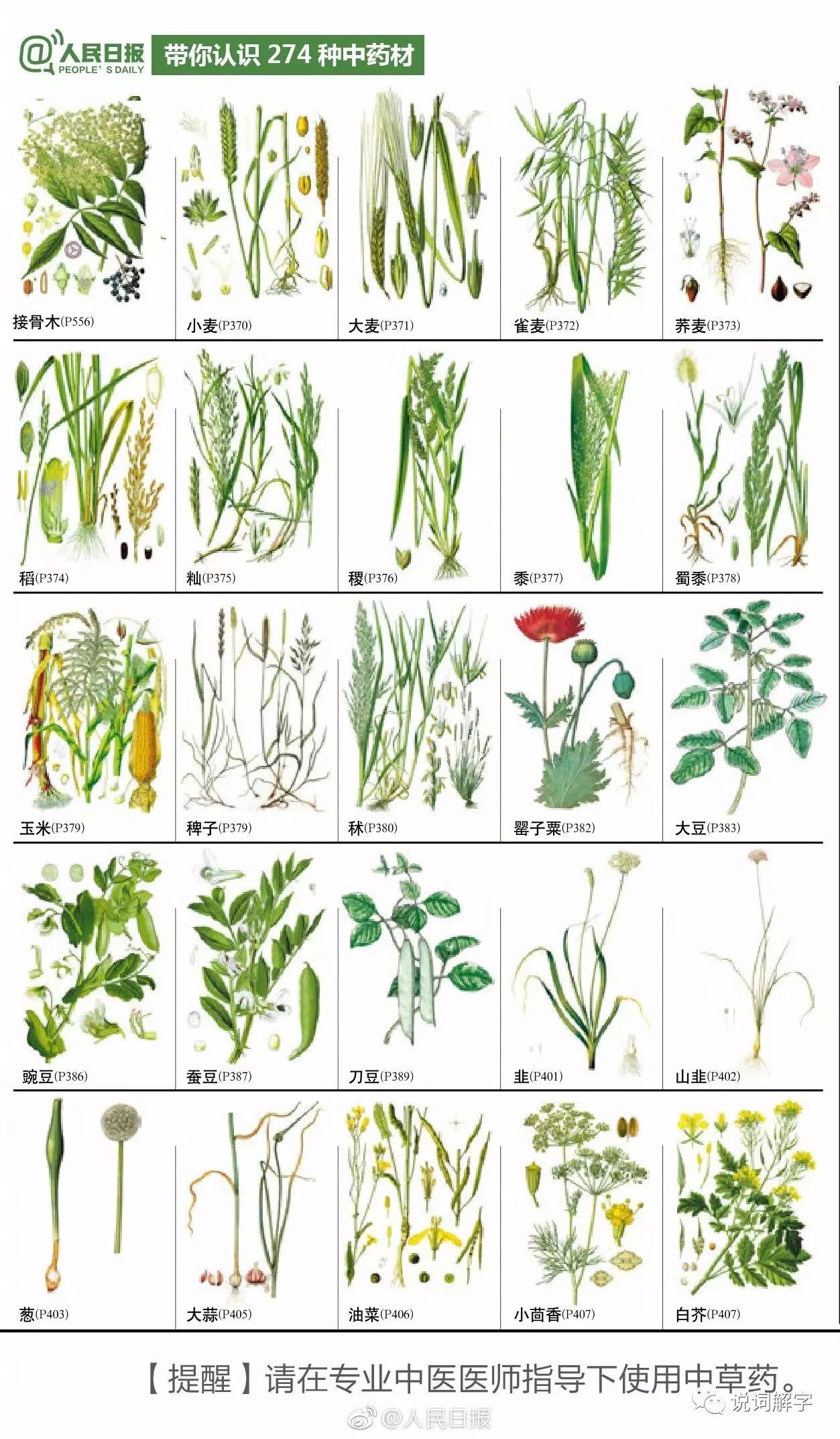 中草药图谱5000种图片