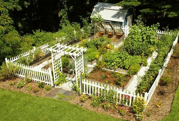 家庭庭院菜园设计你需要知道什么