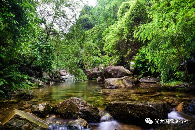 229廉江鐵定出團武鳴大明山伊嶺巖馬山水錦大峽谷小都百三日遊