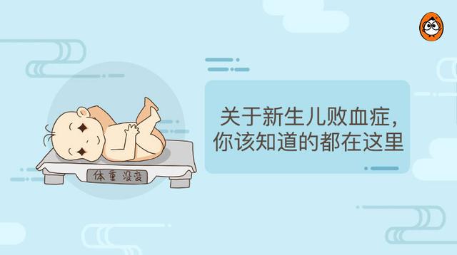 kk健康醫學漫畫關於新生兒敗血症你該知道的都在這裡