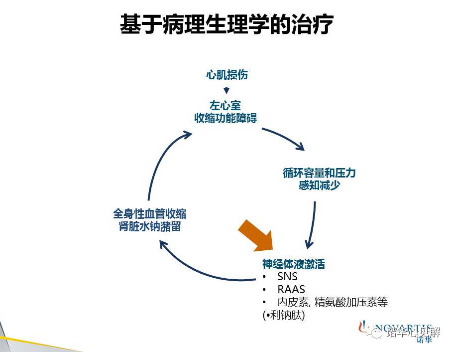 arni讲堂大师讲堂李广平心衰的病理生理和治疗理念变迁