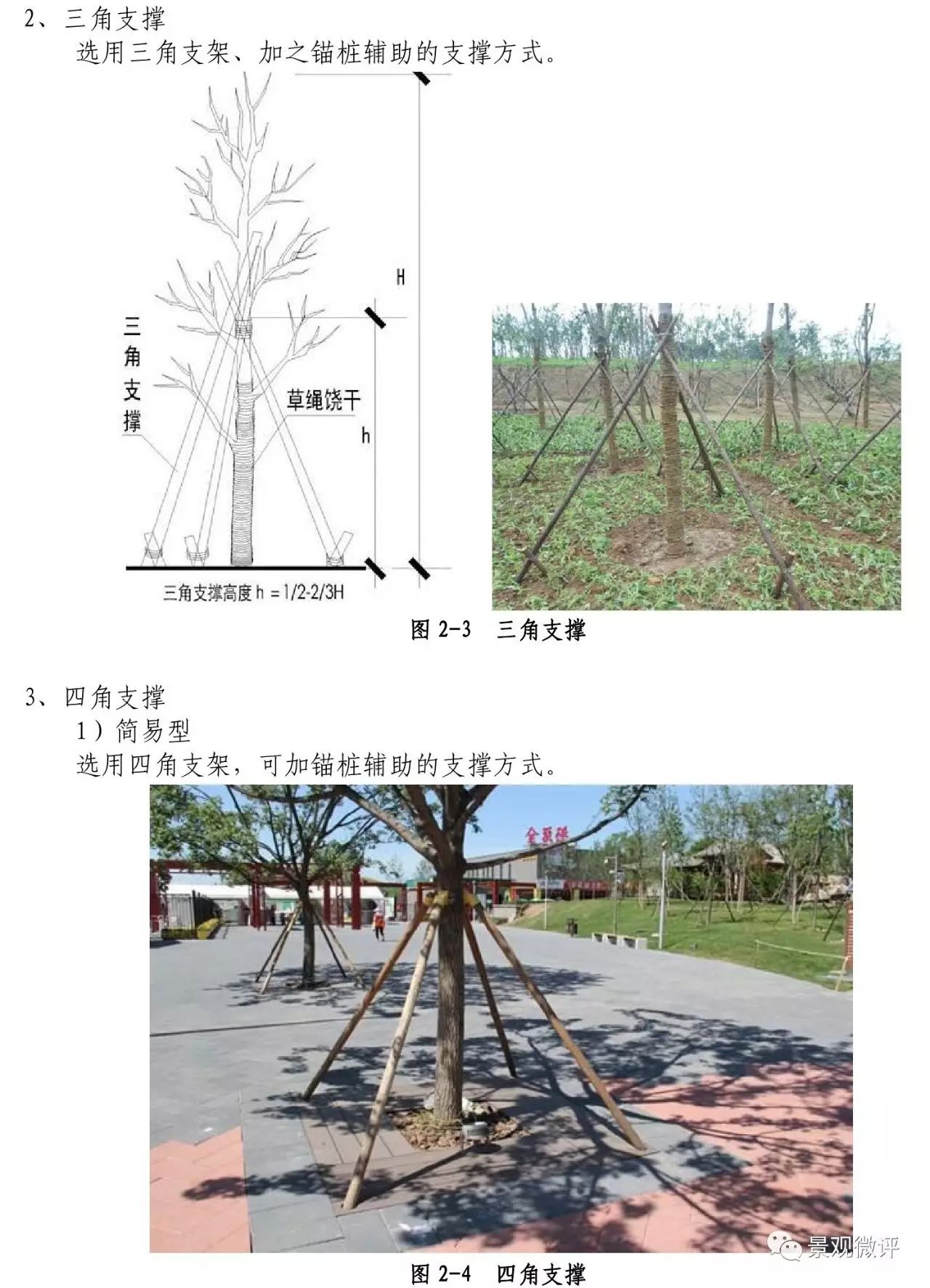 树木三角支撑绑扎方法图片