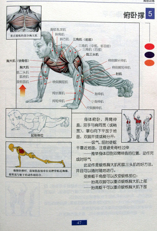 反身仰卧起坐的图解图片