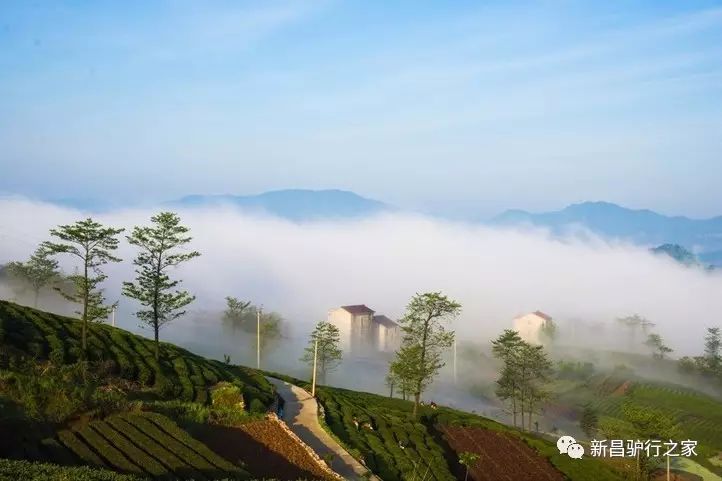 下岩贝村属新昌县东茗乡,位于穿岩十九峰的背面,左于江从其山脚蜿蜒而