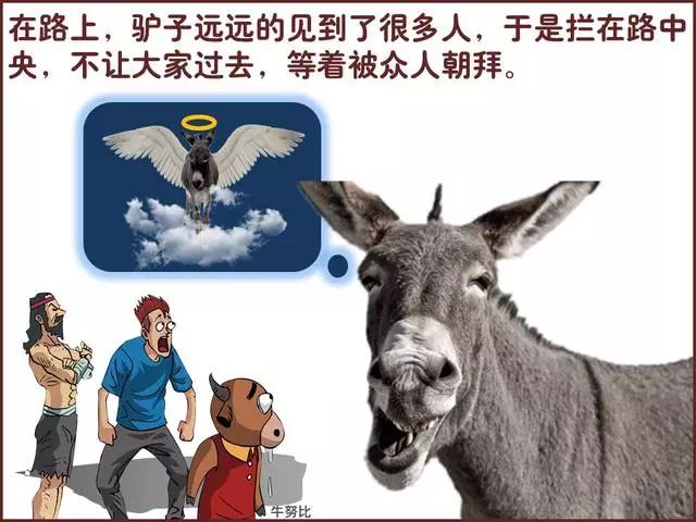 讽刺愚蠢的图片大全图片