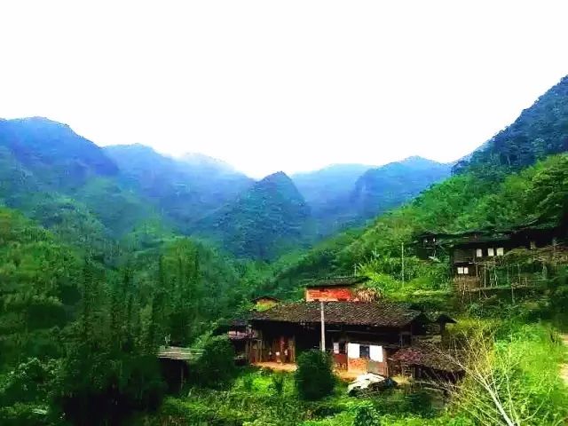 青坑村简介图片