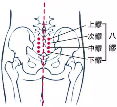 女性腰骶部的位置图图片
