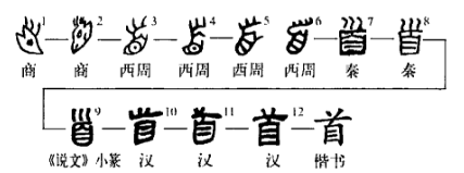 头的甲骨文怎么写图片