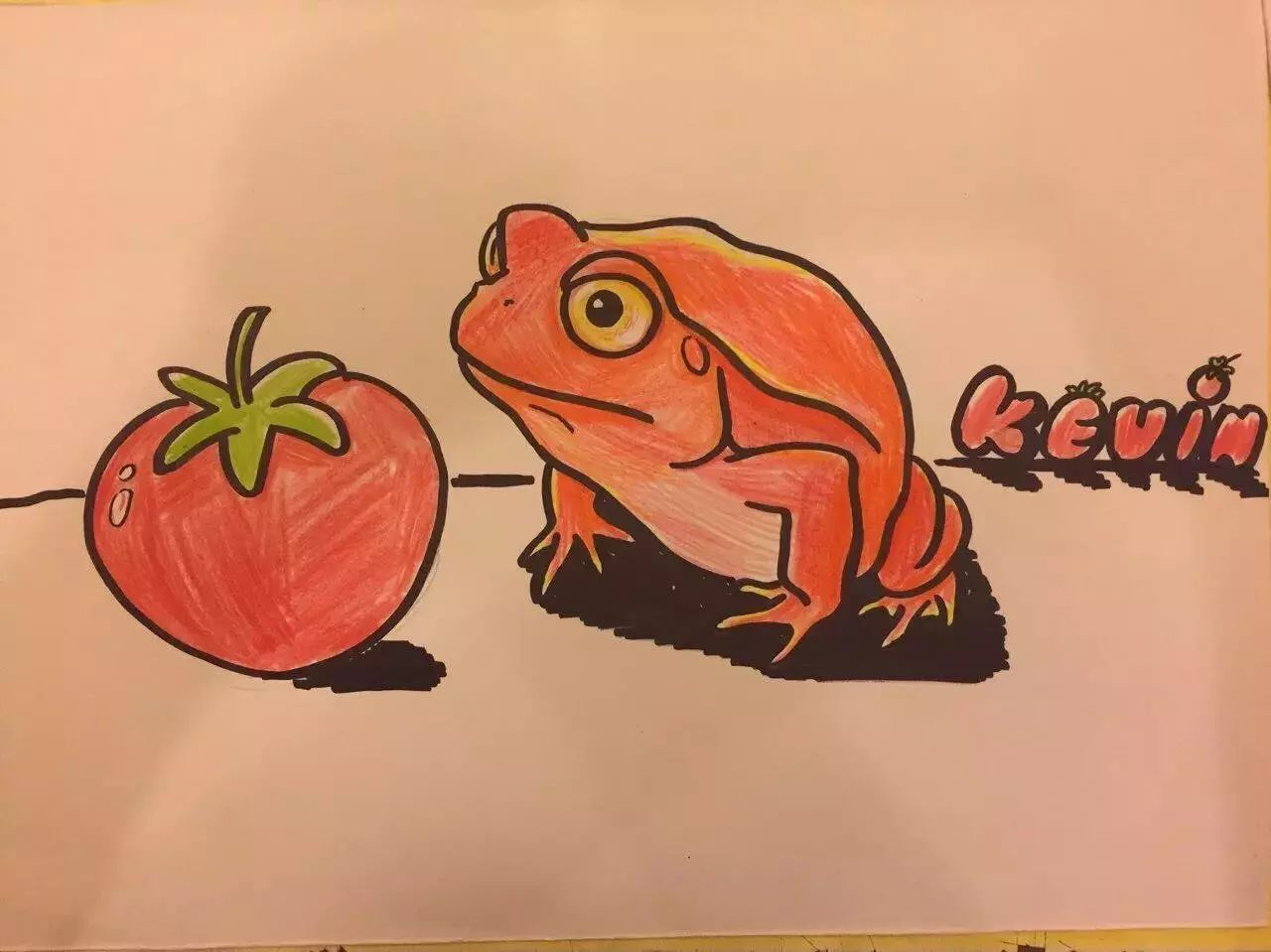 南美角蛙简笔画图片