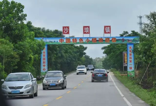 7月24日,市委书记,市人大常委会主任李红军率队到电白区沙琅镇调研