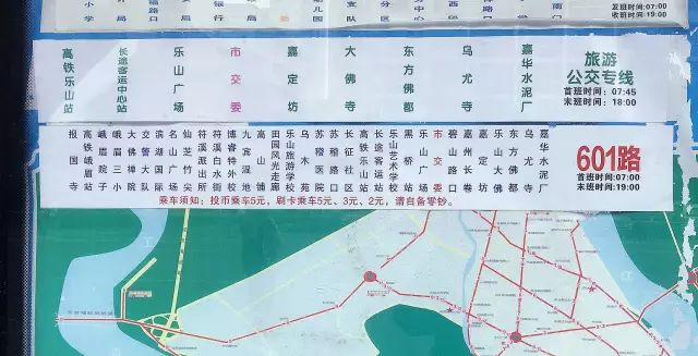 乐山601路线路图图片