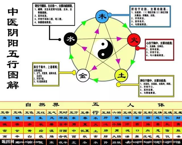 彭祖七损八益高清图图片