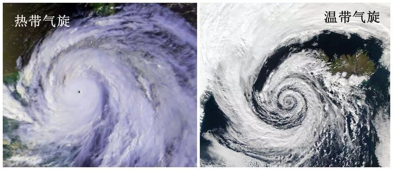 巨型温带气旋图片