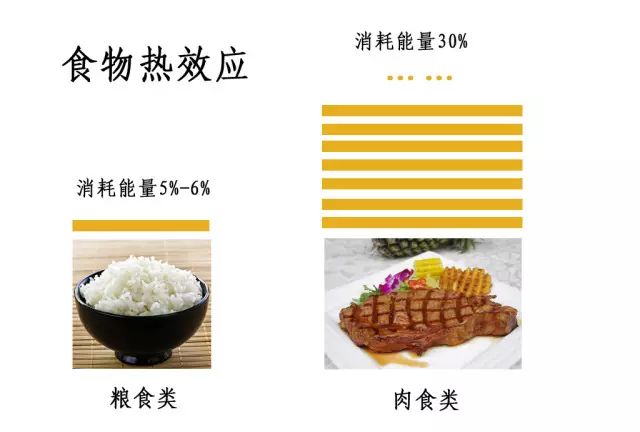 什么食物容易消化吸收【容易消化的食物】