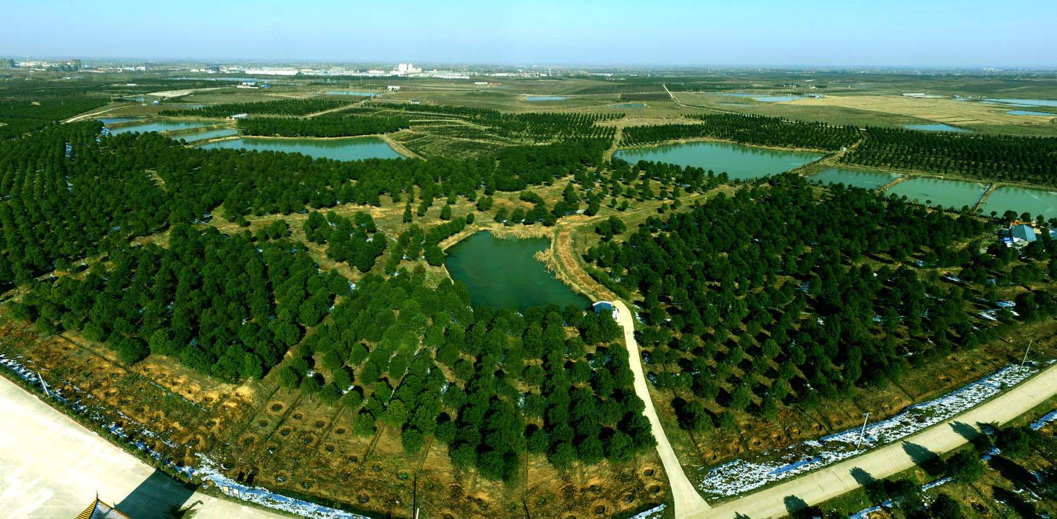 肥西县官亭林海景区,是安徽首个国家级生态园,园内空气清新,风景如画