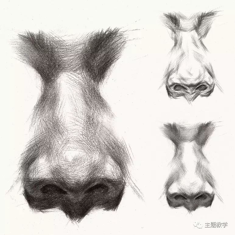 素描头像画鼻子的实用技巧局部教程