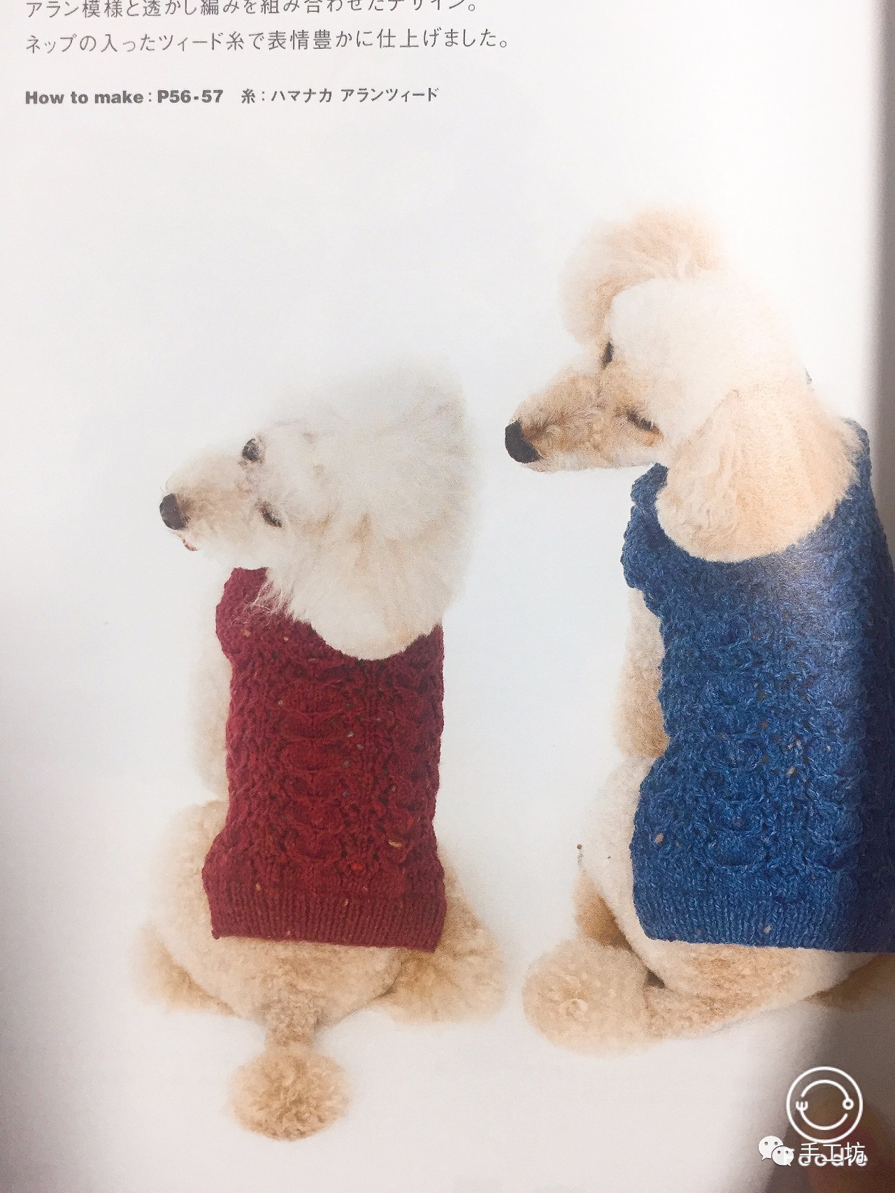 毛衣上的小狗编织图案图片