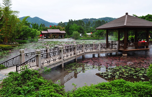 碧波山色 南国明珠 最是金漳浦