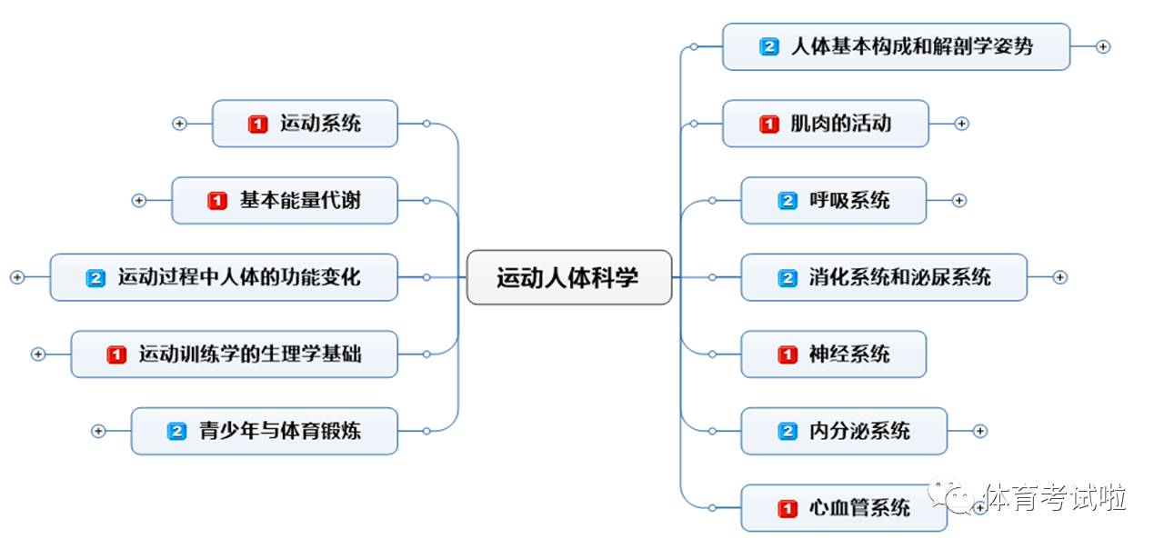 體育資格證科目三運動人體科學思維導圖