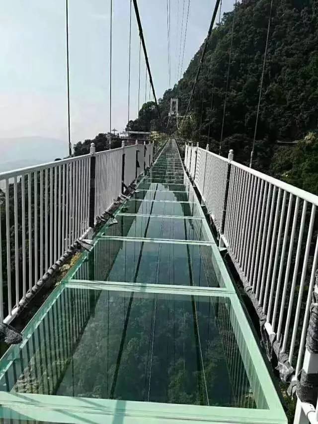 青岚地质公园玻璃桥图片