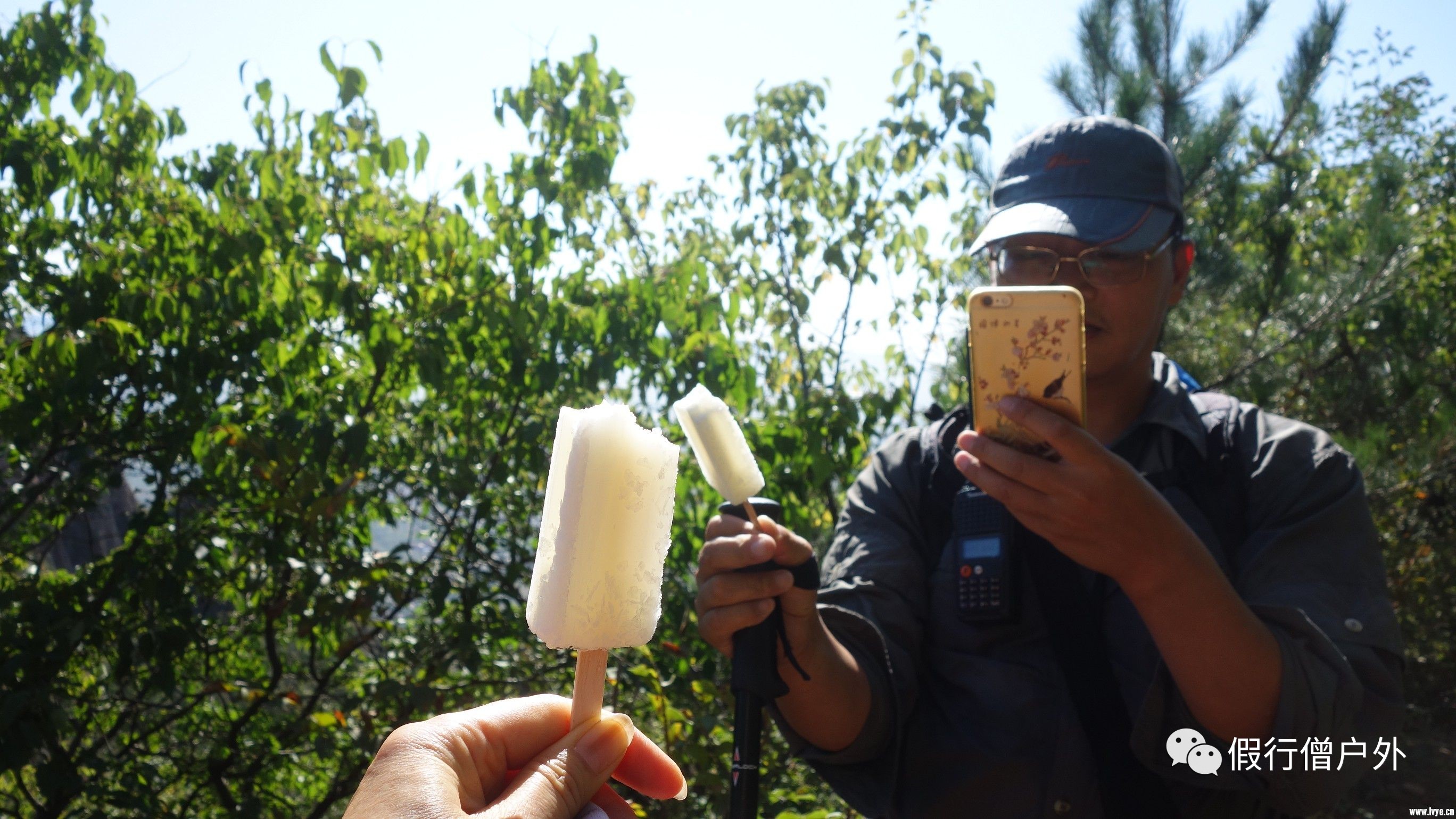 海豚山好綠的青苔,有牛搶鏡主角閃亮登場狹路相逢閃了過河不拆橋糯米