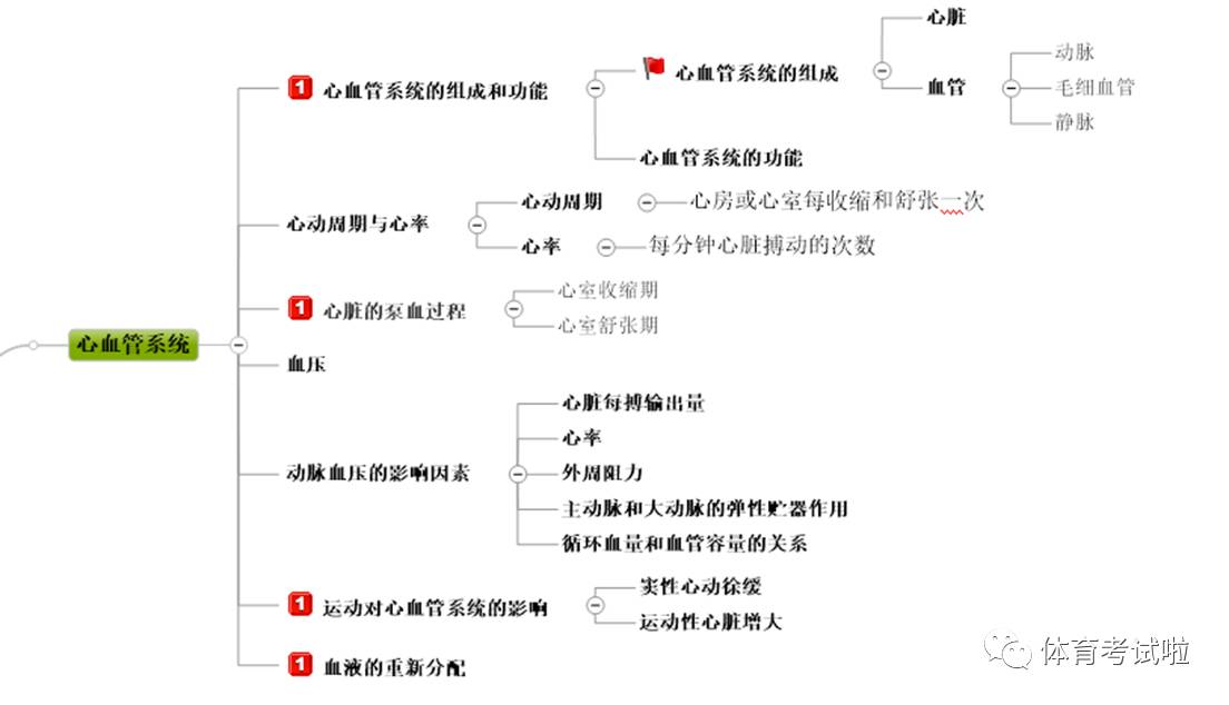 运动人体科学编号图片