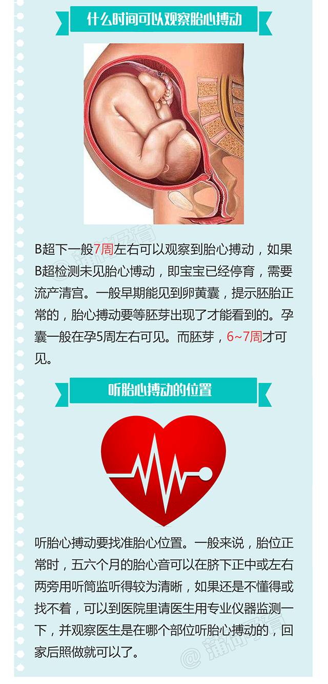 胎心到底啥時候搏動?懷孕後新一輪的擔心.