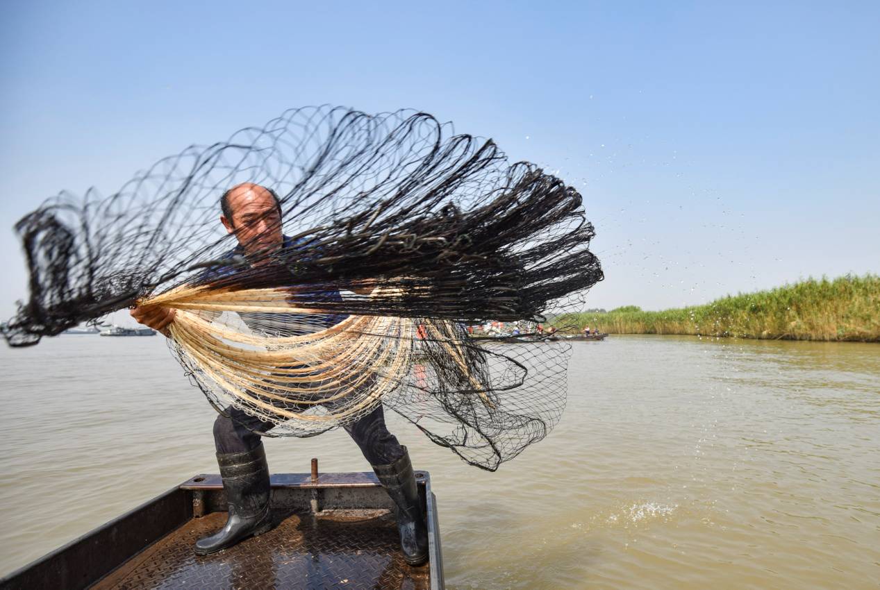 黄河渔民撒网图片图片