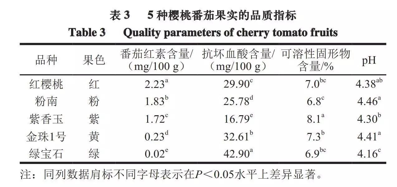 番茄的营养组织图片