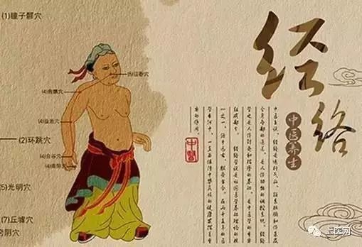 高清经络循行动画图人体所有穴位都在