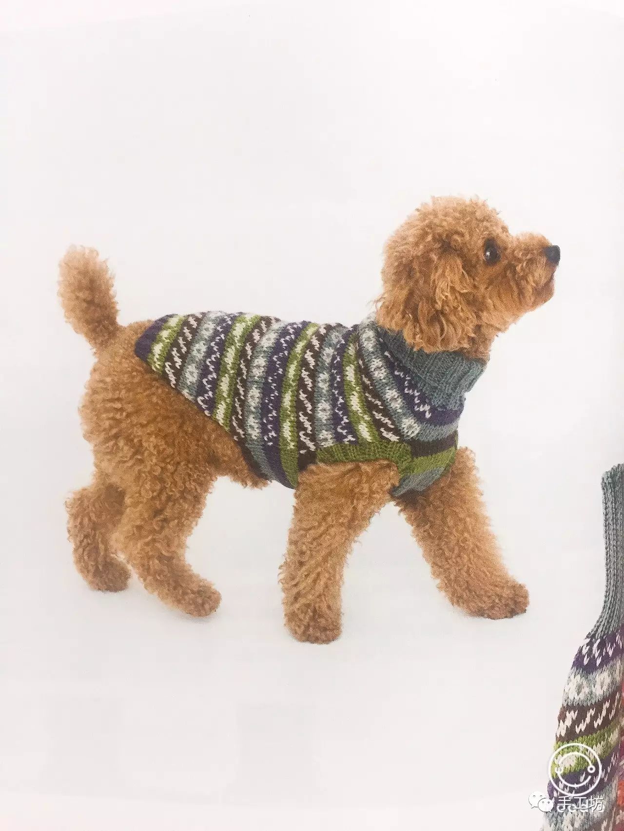 毛衣上的小狗编织图案图片
