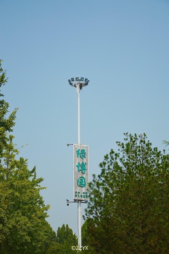 我居然第一次前來人更少,也更好玩比人民公園,碧沙崗公園,紫荊山公園