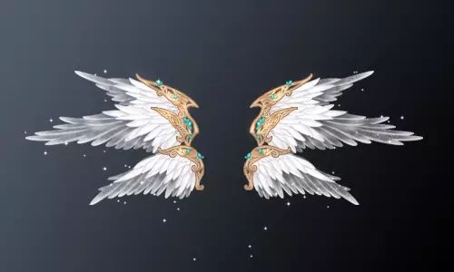 这一套的翅膀采用了六翼天使的传说.词穷,我只能说,真好看.