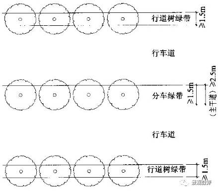 行道树种植设计平面图图片