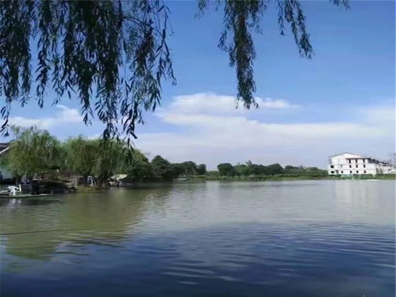 大樹湘湘恬園位居七星核心區位,緊鄰4a級度假景區湘家蕩旅遊度假區.