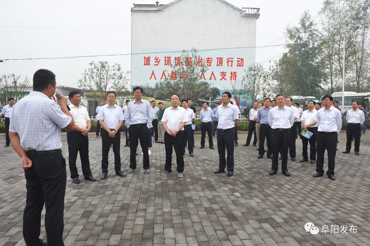 颍上夏桥镇陈德茂图片