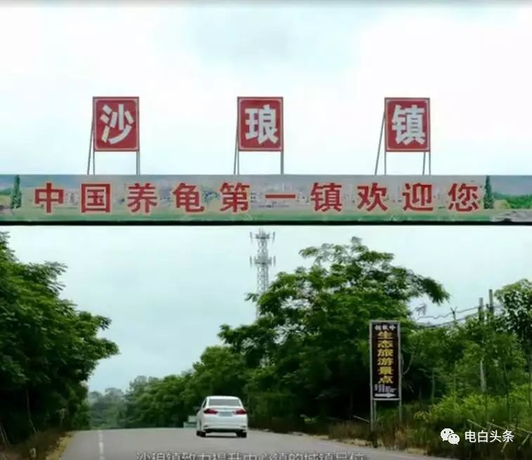 沙琅镇(shāláng zhèn)为广东省茂名市电白区辖镇,位于电白区北半部