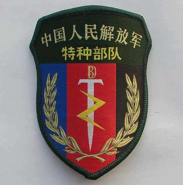 中国特种部队标志图片图片
