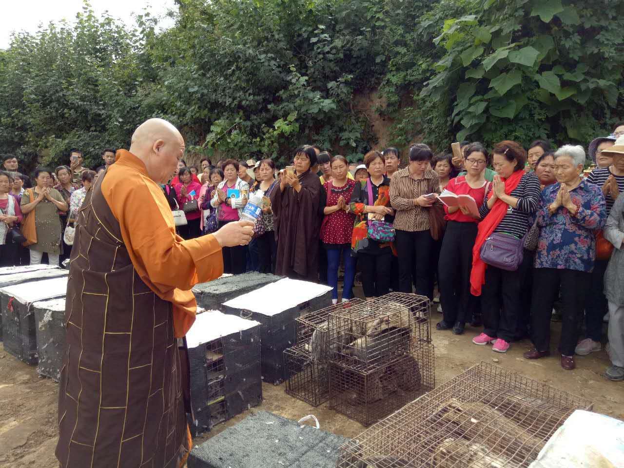 达摩洞住持演峰法师为放生物命洒大悲甘露水放生法会现场放生法会现场