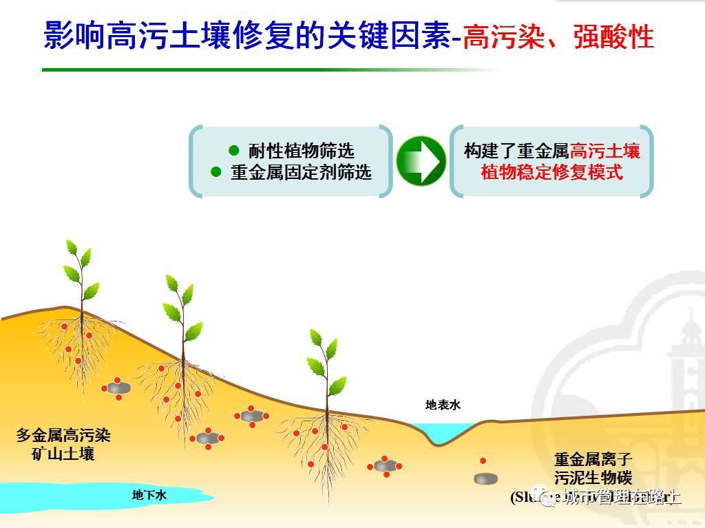 仇荣亮:重金属污染土壤修复进程与挑战