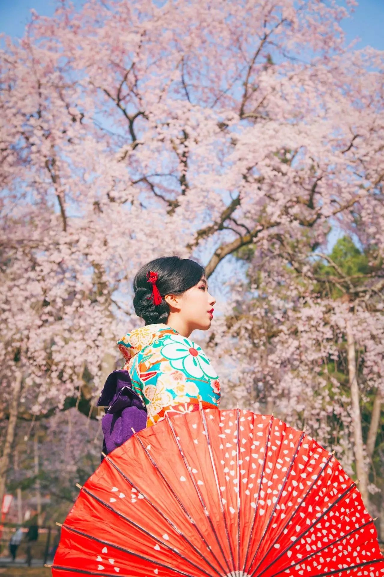 身高150 没有上镜小脸,却自学摄影成为旅拍女神,故宫大片红遍网络