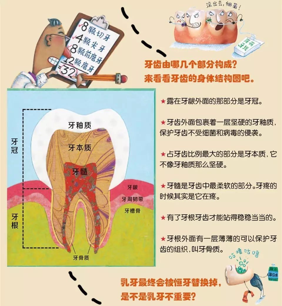 愛牙日 | 張開嘴巴,揭秘神奇又瘋狂的牙齒學校