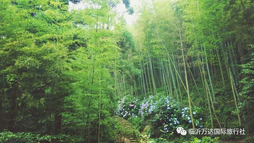 覽劍池飛瀑,蔣介石官邸武陵村,蘆花蕩公園,感受世界上最適合療養的